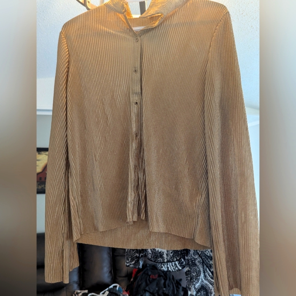 Brown Pleated Button-Up Blouse